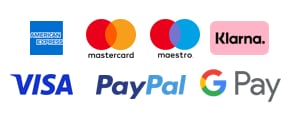 payment PayPal  logo