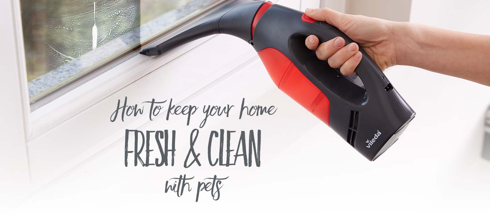 Vileda Blog How to Keep Your Home Clean and Fresh as a Pet Owner